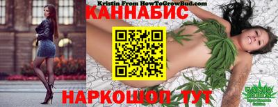 дмт Нальчик