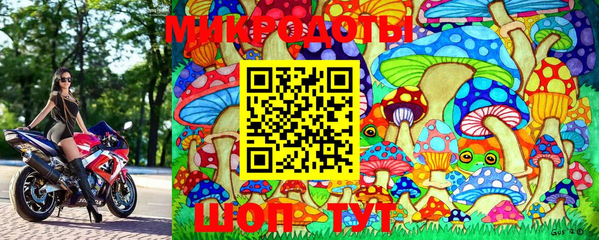 Псилоцибиновые грибы Magic Shrooms  Галлюциногенные грибы Magic Shrooms  Вход с VPN  где купить   Шахты 